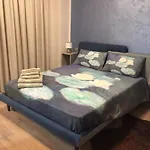 Via Roma 12 招待所 维罗纳